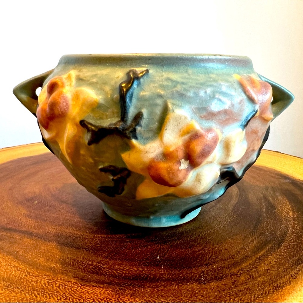Magnolia Roseville Jardinier Pot